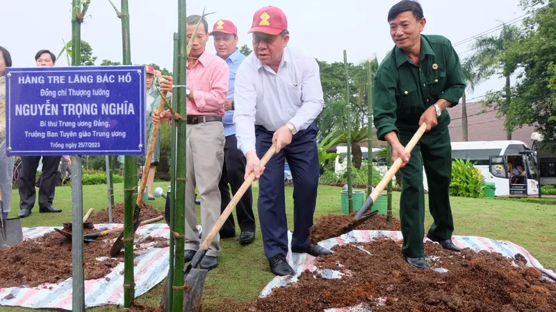 TP Thủ Đức đón nhận 60 cây tre từ Lăng Chủ tịch Hồ Chí Minh