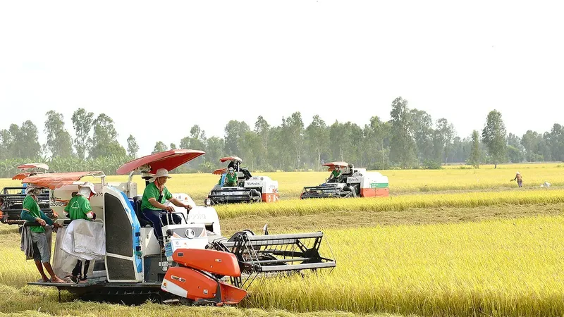Nông nghiệp Việt Nam lập kỳ tích xuất khẩu năm 2024