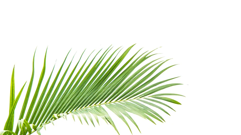Mẹ