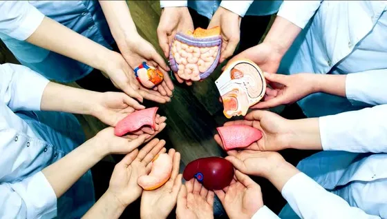 Siết chặt quản lý hoạt động hiến, ghép mô và bộ phận cơ thể người