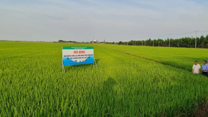 Phát triển nông nghiệp công nghệ cao