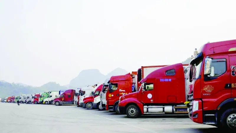 Quan hệ Việt Nam - Trung Quốc duy trì xu thế phát triển - Bài 3: Đẩy mạnh khai thác thị trường Trung Quốc