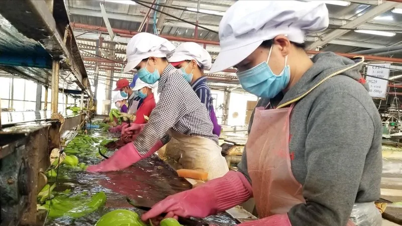 Ngành nông nghiệp Bình Dương nỗ lực vượt khó