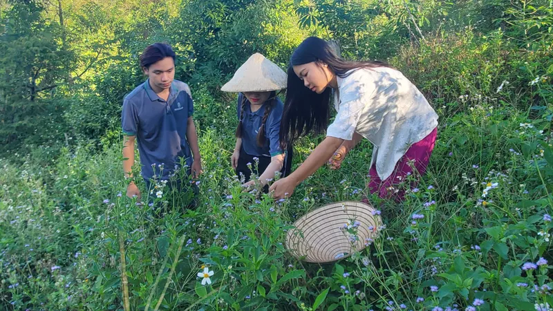 Sức trẻ chinh phục đại ngàn