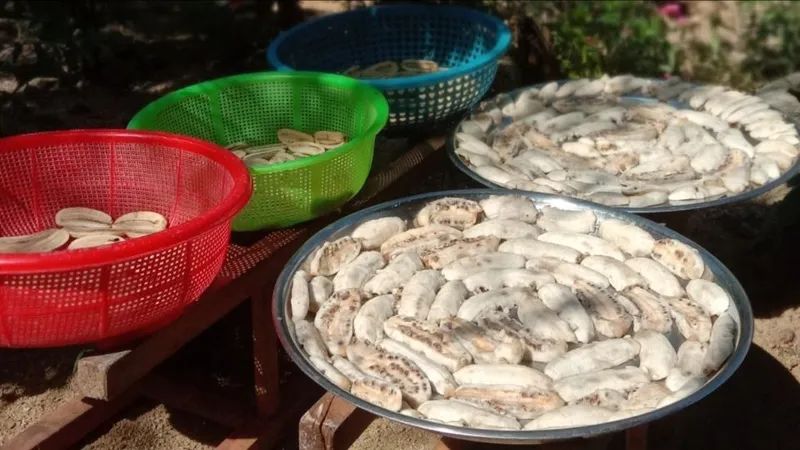 Tết về bên mâm chuối phơi khô