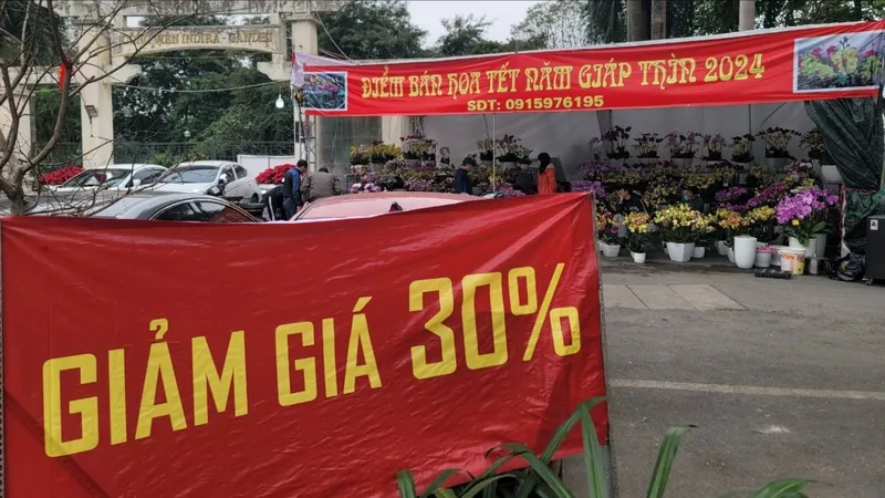 Lan, quất cảnh, đào giảm giá vẫn thưa vắng người mua