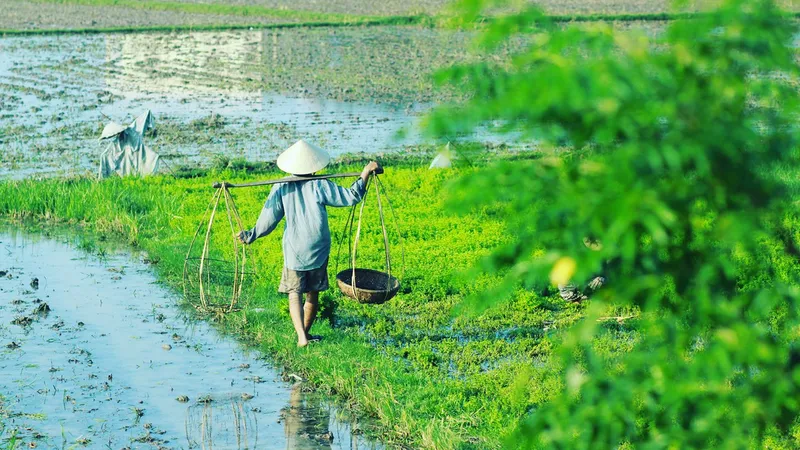 "Tết nay – Tết xưa" đậm mùi thương, mùi nhớ