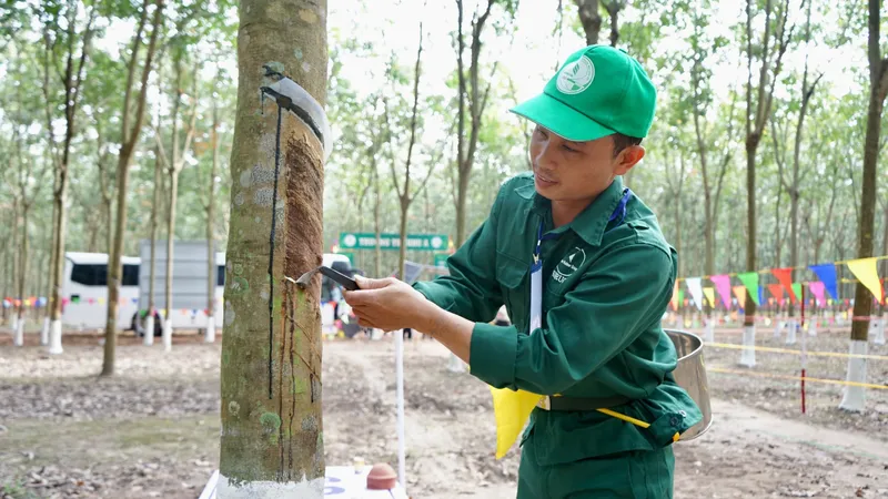 Tháng 1-2024, xuất khẩu cao su đạt 365 triệu USD