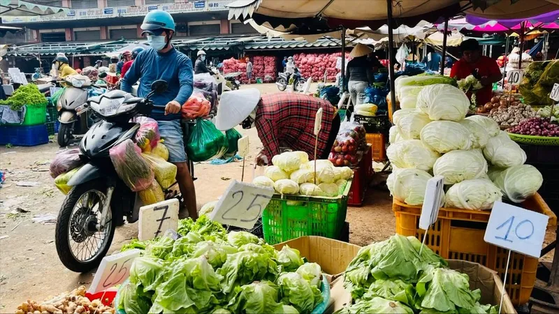 Phát triển chợ đầu mối văn minh, hiện đại