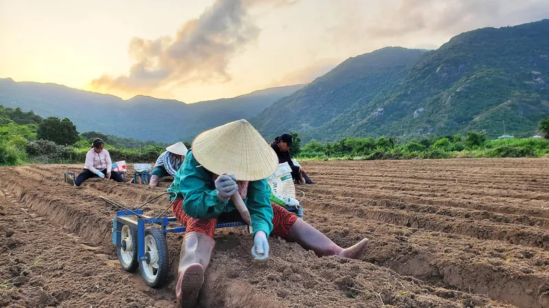 “Xe tỉa mini” tự chế giúp ích cho nông dân