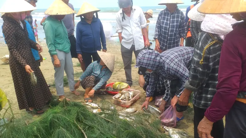 Ngư dân Hà Tĩnh trúng đậm mẻ cá đù gần 100 triệu đồng 