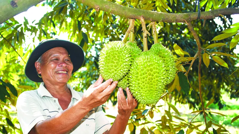 Dấu ấn nông thôn mới ở Xuân Lộc