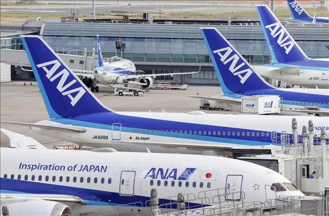 Máy bay của Hãng hàng không Nhật Bản All Nippon Airways tại sân bay Haneda ở Tokyo. Ảnh tư liệu: KYODO/TTXVN