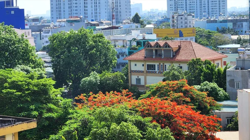 Nhà ngói ở phố