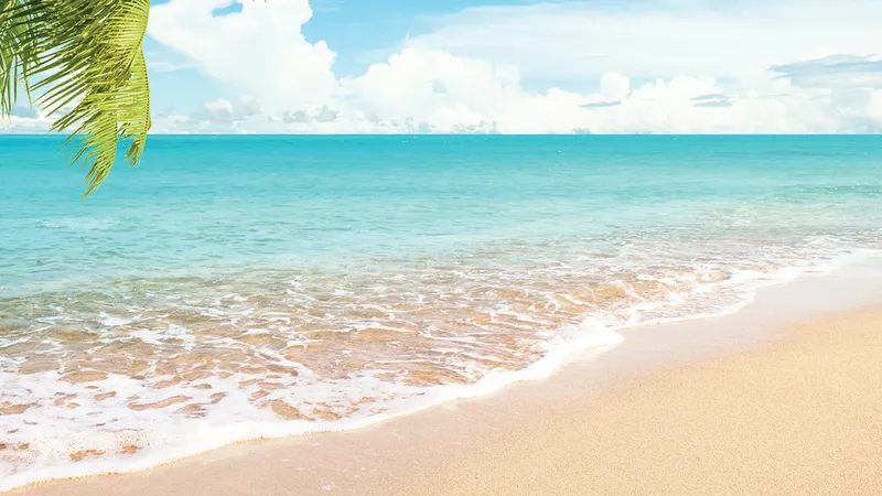 Những biển đảo, những bến bờ