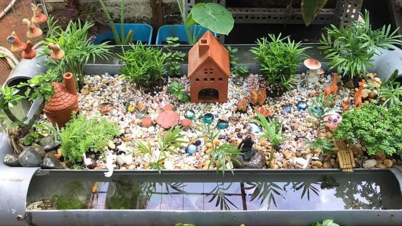 Khoảnh sân chữa lành của tôi