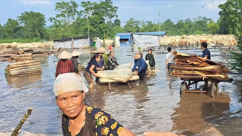 Lập đoàn công tác kiểm tra hàng loạt thủy điện xả nước gây ngập nặng ở Lào Cai, Yên Bái