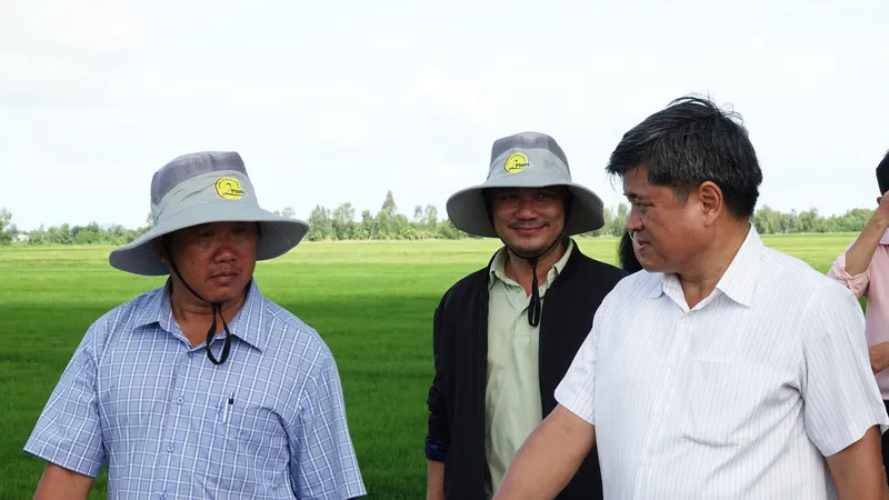Kiên Giang: Thực hiện tốt Đề án 1 triệu hécta lúa chất lượng cao để nâng tầm giá trị gạo Việt