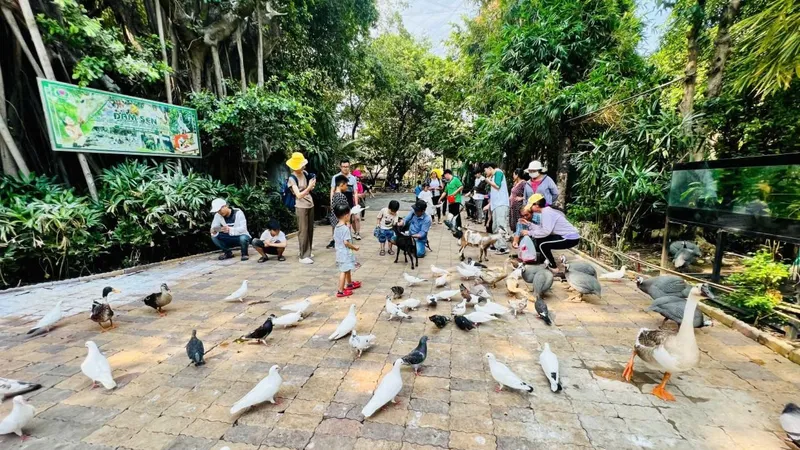Khách vui chơi tại Đầm Sen
