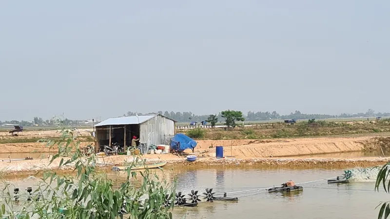 Phản hồi bài viết “Long An: “Băm nát” ruộng lúa làm ao nuôi tôm nước mặn”: Thành lập tổ thanh tra các vấn đề liên quan