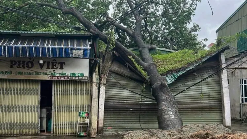 Siêu bão đổ bộ vào đất liền, thiệt hại nặng nề