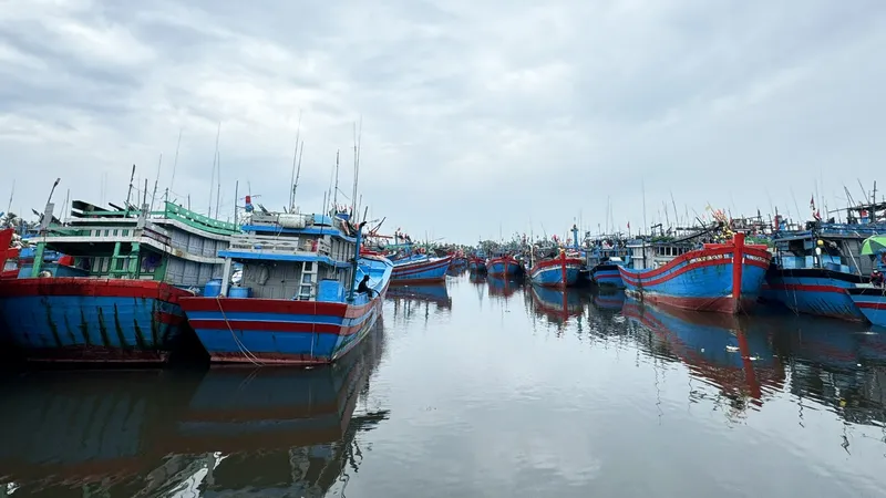 Quảng Ngãi: Xử lý nghiêm các tàu cá chưa lắp đặt thiết bị giám sát hành trình