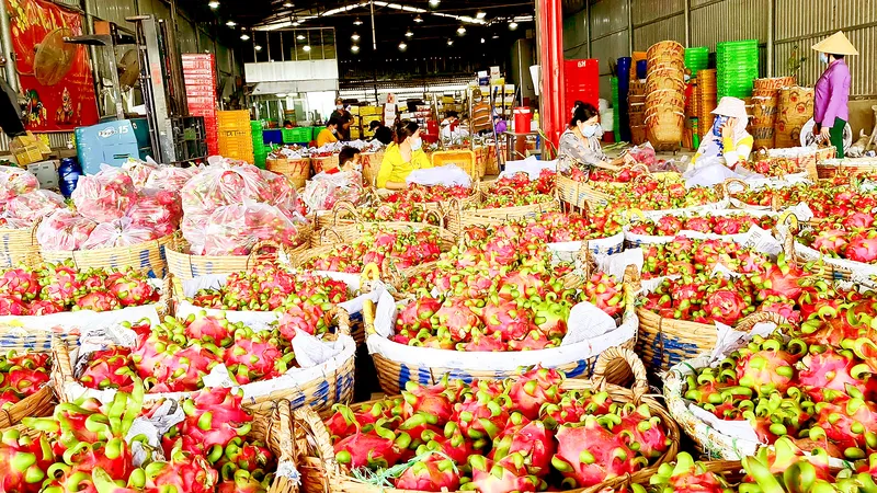 Tăng sức cạnh tranh cho nông sản Việt - Bài 1: Loay hoay câu chuyện thương hiệu nông sản Việt