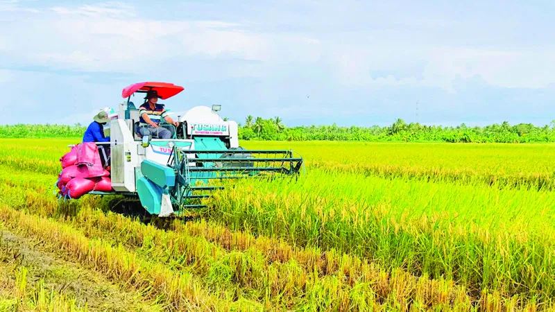 Lúa chất lượng cao, phát thải thấp: Đáp ứng yêu cầu tăng trưởng xanh