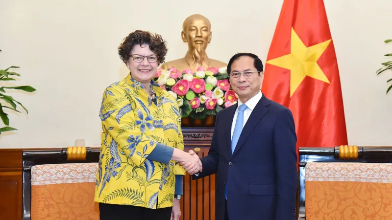 Phó Thủ tướng, Bộ trưởng Ngoại giao Bùi Thanh Sơn tiếp Đại sứ Đức