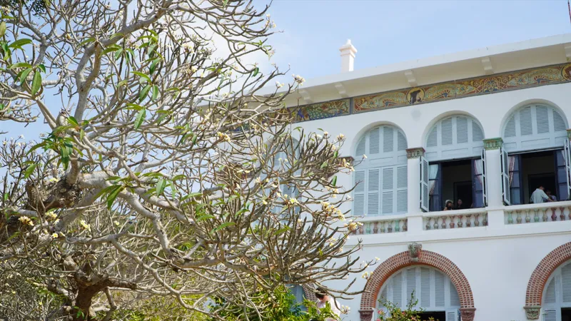 Mùa hoa sứ Vũng Tàu níu chân du khách