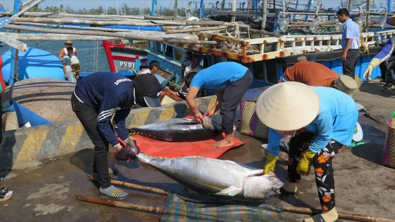 Xuất khẩu hải sản cần ưu tiên đáp ứng Luật Bảo vệ thú biển của Hoa Kỳ