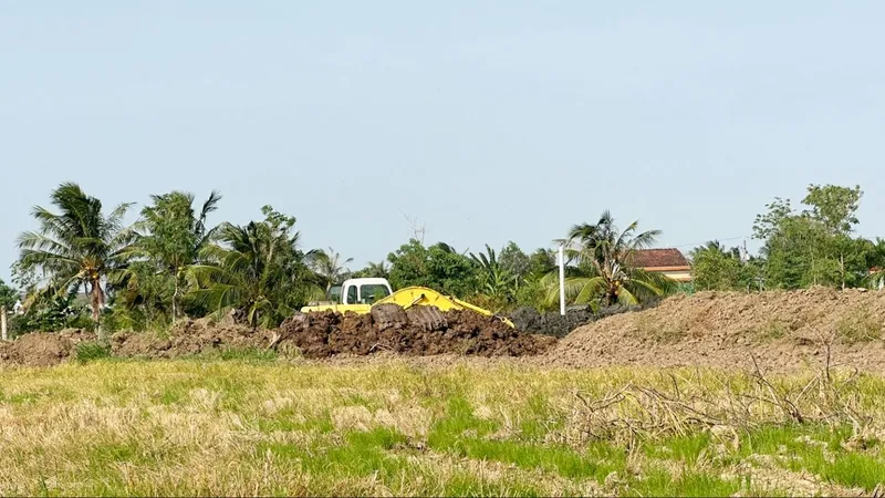 Tiền Giang: Nông dân ồ ạt bán đất mặt ruộng