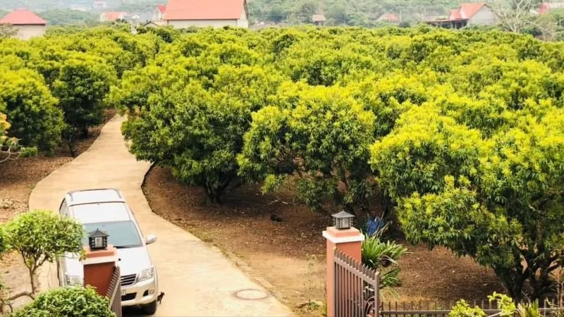 Thời tiết bất lợi tháng 4 và 5 sẽ ảnh hưởng đến cây trồng và vật nuôi