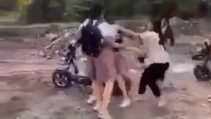 Hình ảnh vụ việc cắt từ clip 