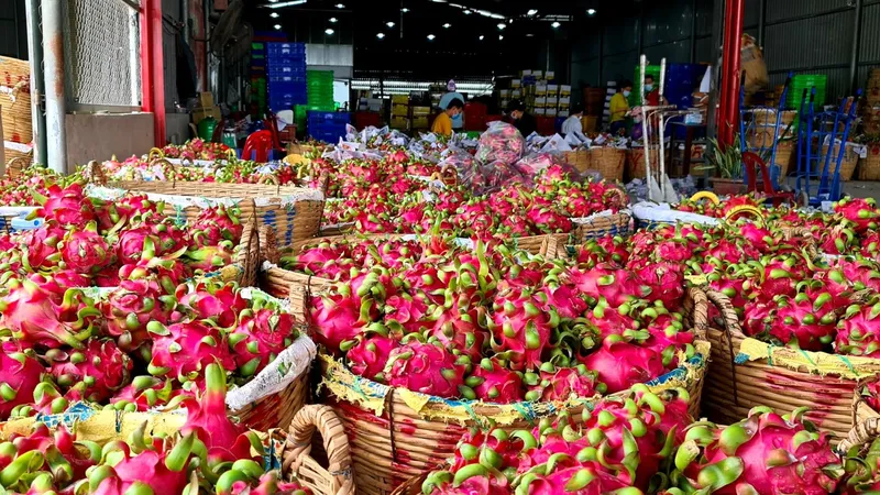 Việt Nam đề nghị Hoa Kỳ chấp thuận xử lý thanh long bằng hơi nước nóng