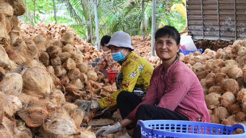 Nâng cao giá trị cây dừa, thúc đẩy kinh tế địa phương