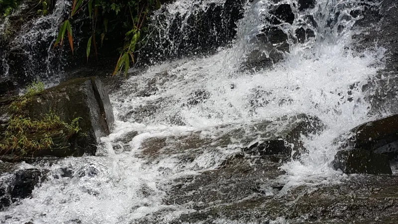 Quảng Bình: Đề xuất 5 vị trí làm trang trại heo, tổng diện tích hơn 210ha khiến dân lo ngại
