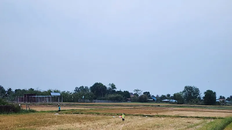 Tiền chuyển mục đích sử dụng đất quá cao, người dân như mua đất lần 2