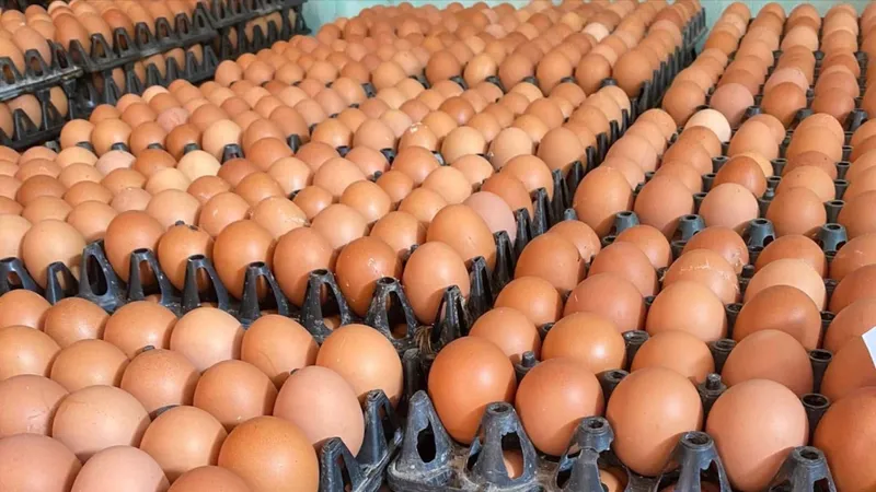 Bác bỏ tin đồn “trứng gà giả”