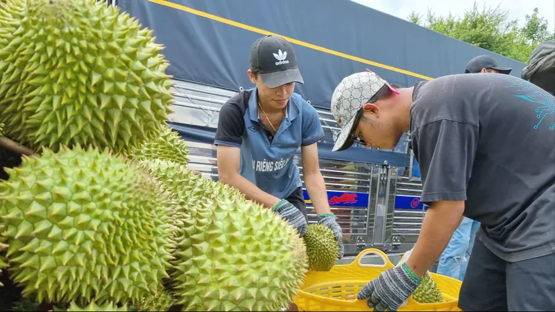 Truy xuất nguồn gốc nông sản theo lộ trình mới