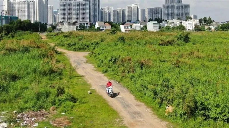 Khu đất tại huyện Bình Chánh, TPHCM. Ảnh: Hoàng Hùng