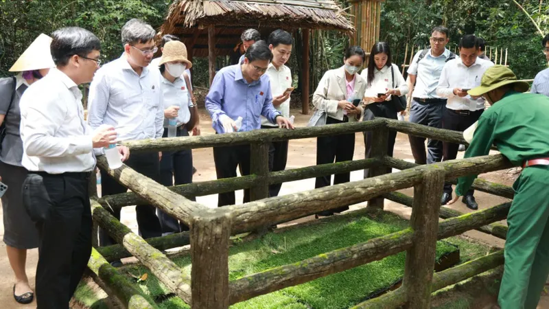 HĐND TPHCM khảo sát tìm giải pháp hỗ trợ giáo dục và bảo tồn di tích 