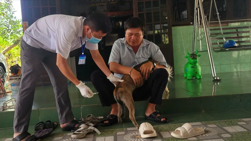 TPHCM: Nhiều giải pháp phòng chống bệnh dại chó, mèo
