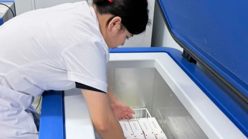 Nhân viên y tế đang sắp xếp vaccine phòng bệnh dại cho người do WHO hỗ trợ tại tỉnh Tuyên Quang