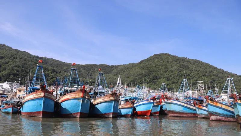 Nhiều tỉnh kiên quyết xử lý tàu cá không đủ điều kiện hoạt động