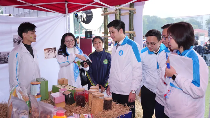 Ngày hội sinh viên được khai mạc sáng 28-12.