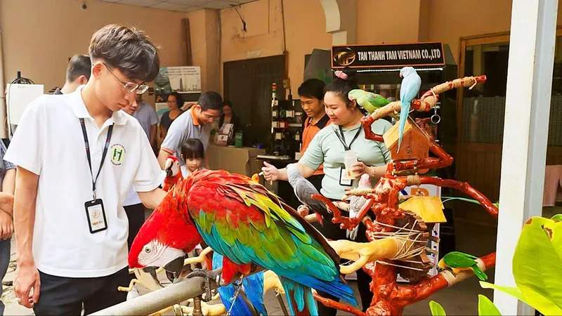 Sinh vật cảnh làm đẹp đô thị
