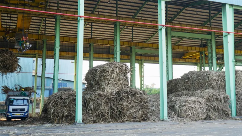 Khánh Hòa: Người dân lo ngại ô nhiễm môi trường quanh khu vực nhà máy đường