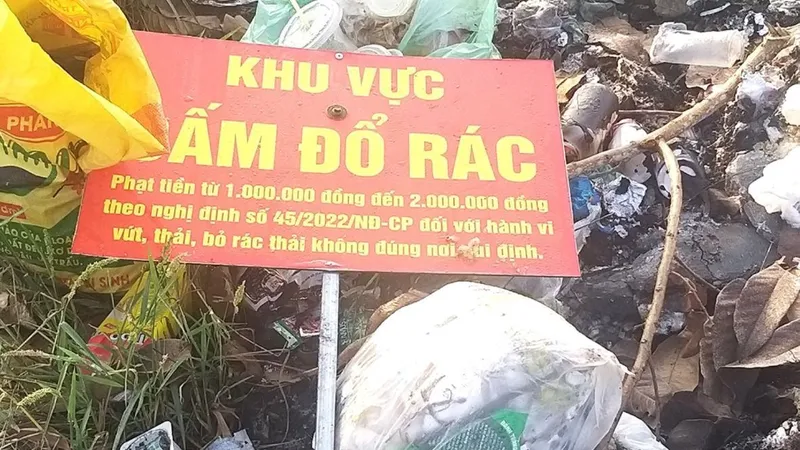 Ngang nhiên nhổ bỏ biển cấm