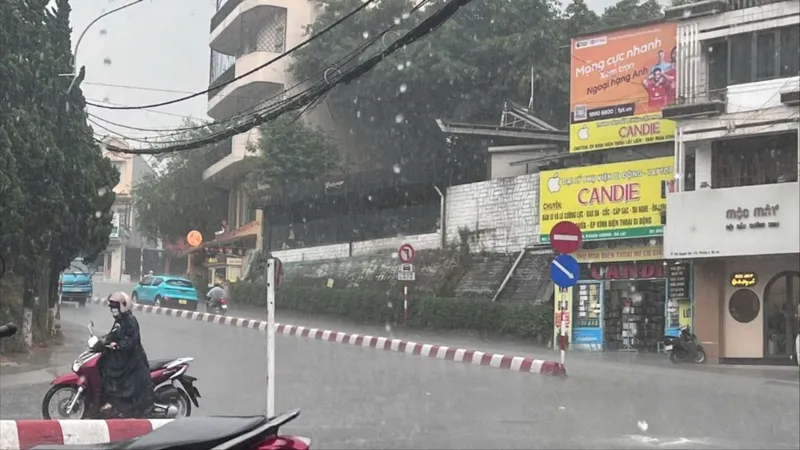Lâm Đồng: Xuất hiện cơn mưa "vàng" giải nhiệt 